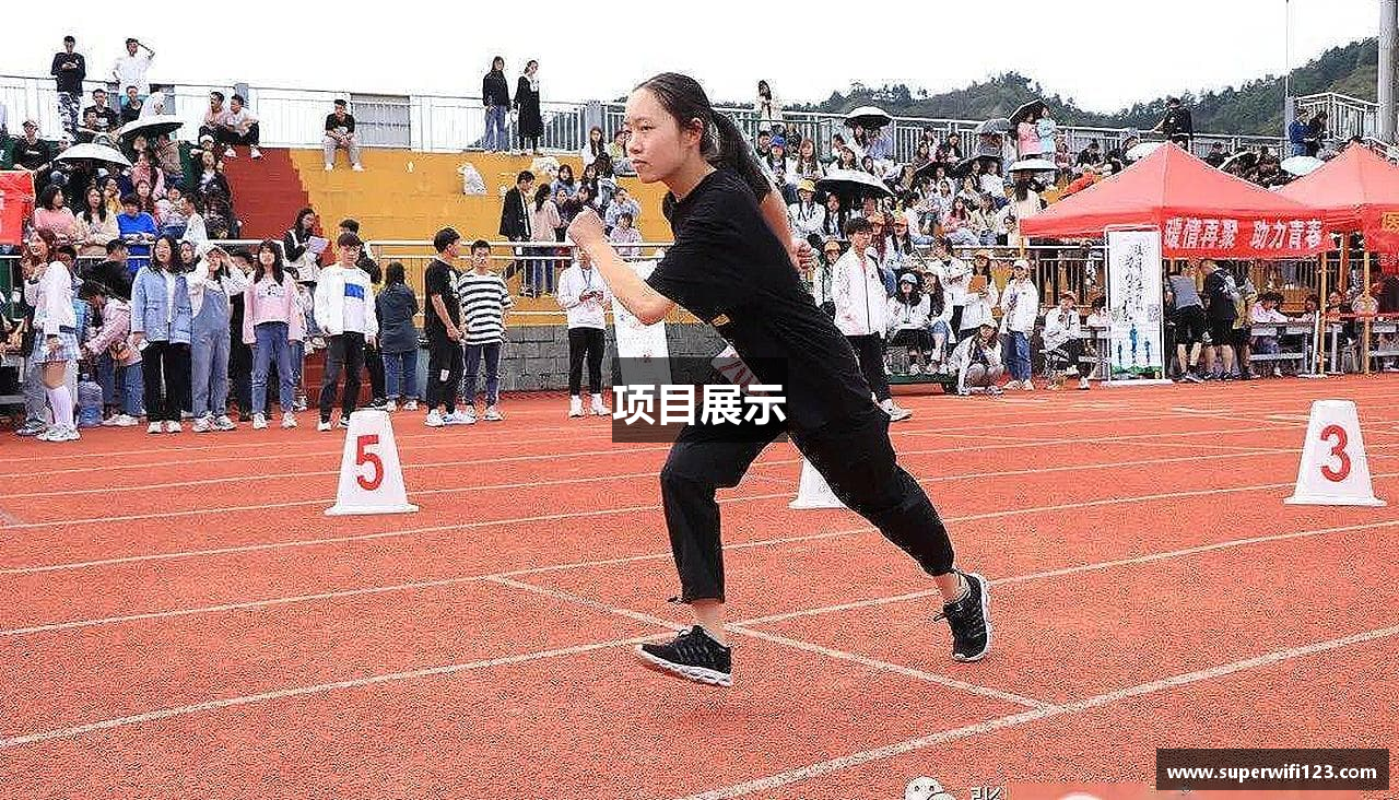 项目展示
